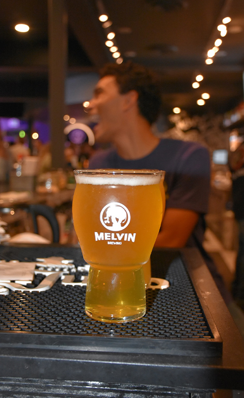 Beer